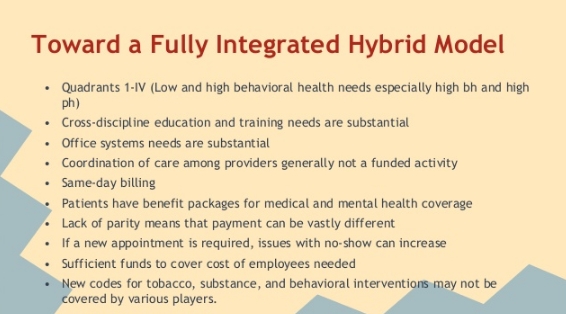 investing in hybrid model health care