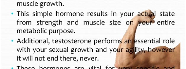 Testosterone: Functions